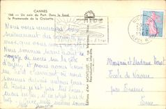 CPM Cannes Un coin du port Dans le fond la promenade de la Croisette
