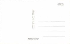 CPM Le Val De Loire Amboise Chenonceaux Chambord Azay le Rideau Langeais Cheverny