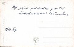 VINTAGE POSTCARD Illustrator Silou Lva Vzeletem Sokola Lion Eagle