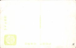 VINTAGE POSTCARD Japanese Japan The sleeping cat off the Toshogu Nikko