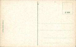 VINTAGE POSTCARD Bad Neuenahr Willibrordus Sprudel