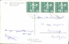 CPM Steinwild Bouquentin