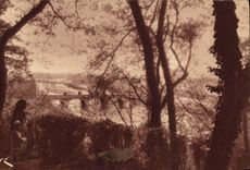 POSTAL Pau de la VENDIMIA que el valle de dio del parque nacional