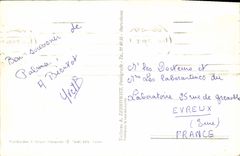 CPM Mallorca Detalle del Puerto