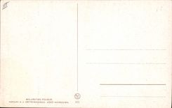 Folklore de la mujer de Franciszek Lubienski Lowiczanka del ilustrador de la fantasía de la POSTAL de la VENDIMIA