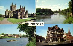 MODERN CARD Hereford