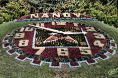 CPM Nancy L'Horloge Florale