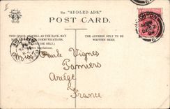 VINTAGE POSTCARD Illustrator Children Addled Ads