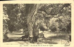 CPA Vichy Un Coin Du Parc Au Bassin Des Cygnes