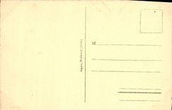 POSTAL Vichy de la VENDIMIA una esquina del parque al lavabo de los cisnes