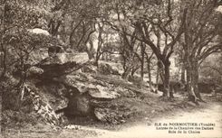 CPA Ile De Noirmoutier Entree De La Chambre des Dames Bois de la Chaise