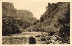 CPA Les Gorges Du Tarn Les Vignes