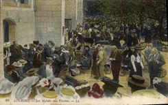 Pacientes pesados de la POSTAL de la VENDIMIA con las piscinas