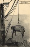 VINTAGE POSTCARD Warship One hoists an ox has edge