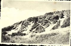VINTAGE POSTCARD Bredene on Sea the wild dune