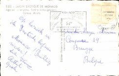 CPM Jardin exotique de Monaco Agaves