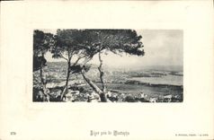 POSTAL Argel de la VENDIMIA cerca de Mustafá