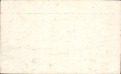 VINTAGE POSTCARD Far Ligier Richier