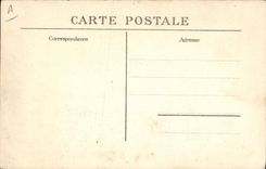 Retrato de la aviación del plano de la POSTAL de la VENDIMIA del aviador famoso de Leblanc