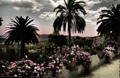 POSTAL MODERNA graso su vegetación exótica en la parte inferior el mediterráneo