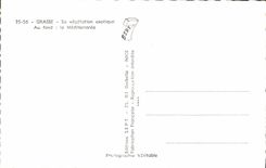 POSTAL MODERNA graso su vegetación exótica en la parte inferior el mediterráneo
