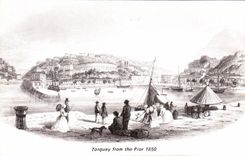 VINTAGE POSTCARD Torquay From The Pier 1850