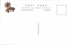 VINTAGE POSTCARD Torquay From The Pier 1850