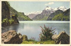 VINTAGE POSTCARD Mountain pastures