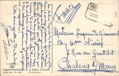 CPA Vegetationsbilder a d Sachs Suisse