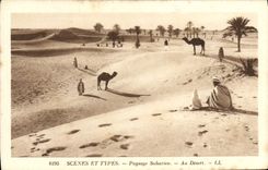 CPA Paysage saharien Au dersert Chameau 