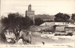 VINTAGE POSTCARD Tlemcen Village and mosque of Sidi Lahson