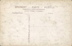 VINTAGE POSTCARD Selsmyrene