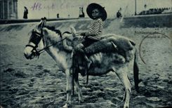 Caminata de Blankenberghe de la POSTAL de la VENDIMIA en niño del asno