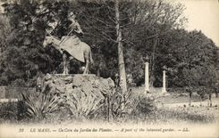 VINTAGE POSTCARD Mans a Corner of the Botanical garden