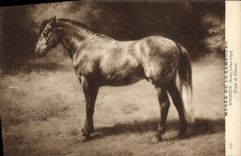 VINTAGE POSTCARD Paris Museum of Luxembourg Happiness Details of horse