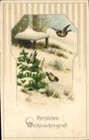CPA Fantaisie Oiseaux