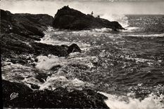 CPM La cote Sauvage 