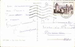 MODERN CARD the Wild dimension