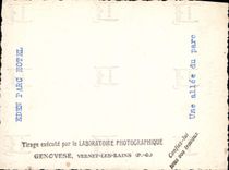 Photo Eden Park Hotel an alley of the park