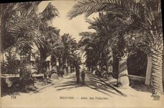 CPA Menton Allee Des Palmiers