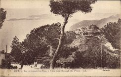 CPA Eze Vue A Travers Les Pins