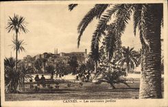 CPA Cannes Les Nouveaux Jardins
