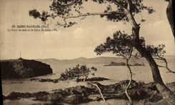 VINTAGE POSTCARD Holy Raphael the sea lion the ground lion