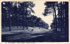 VINTAGE POSTCARD Arcachon Dimensions Money Road out of drill