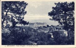CPA Arcachon Cote d'Argent A travers les Pins