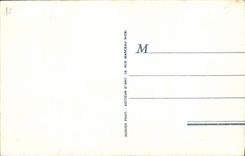 VINTAGE POSTCARD Nice the Palate of the Mediterranean