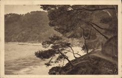 VINTAGE POSTCARD Toulon Path Of Mourillon In the Brown Cape