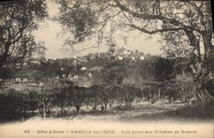 CPA Cote D'Azur Cagnes Sur Mer Vue Prise des oliviers de Renoir