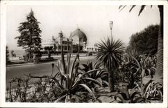 CPM Cote Dazur Nice La Flore Des Jardins Albert 1er et le palais de la jetee