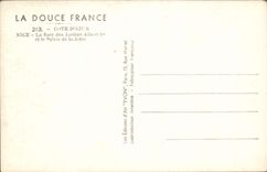 CPM Cote Dazur Nice La Flore Des Jardins Albert 1er et le palais de la jetee